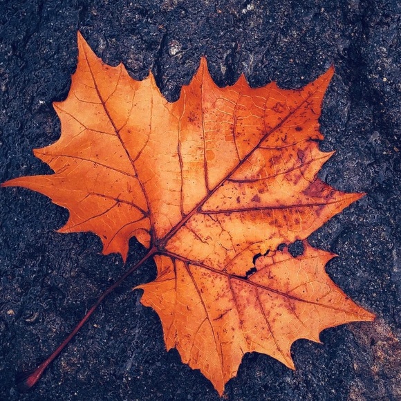 Profile Picture of Grant Slater (@gs514) on Poshmark