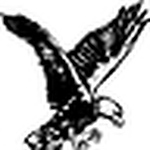 Profile Picture of Dennis Hughes (@dennish3d) on Flickr