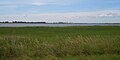 Profile Picture of Neuendorfer Wiek and Beuchel Island Nature Reserveon Wikipedia