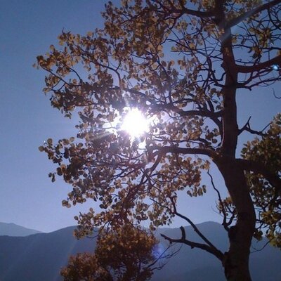 Profile Picture of Tim Unger (@tim_ungman) on Twitter