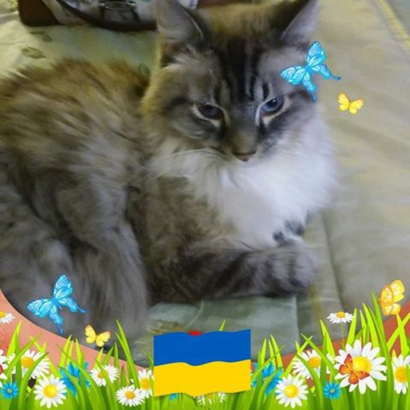 Barbara Seleski - Poshmark Profile Picture of Barbara Seleski (@babymyshoe) on Poshmark