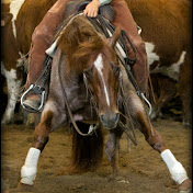 Profile Picture of George Neufeld Cutting Horses (@georgeneufeldcuttinghorses94) on Youtube