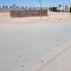 Profile Picture of Carlo Hmrd (@Carlo-Hmrd) on Facebook