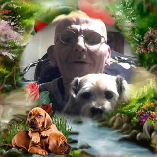 Profile Picture of Marc Gahlman (@sofe.fox.7) on Facebook