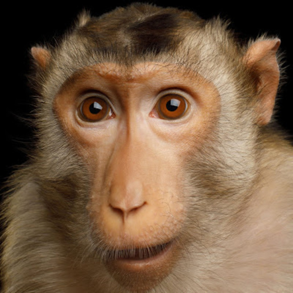 Profile Picture of August a Skinner (@2023askinner) on Poshmark