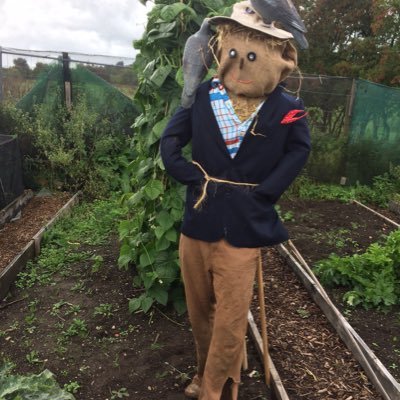 Profile Picture of Tim Plum (@timplum68) on Twitter