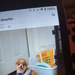 Profile Picture of Rhonda Sheaffer (@rhonda.sheaffer.2025) on Facebook