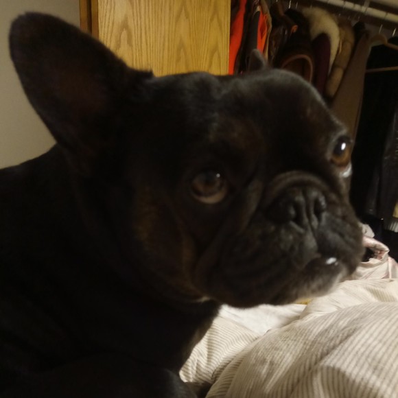 Profile Picture of Cody Clark (@ravenmacoys) on Poshmark