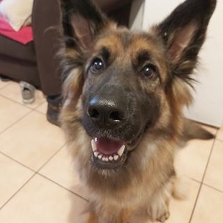 Profile Picture of John Haquette (@john.haquette.77) on Facebook