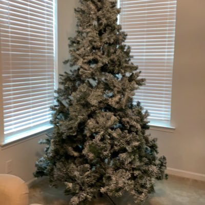 Profile Picture of Sheryl Harris (@sherylh47556063) on Twitter