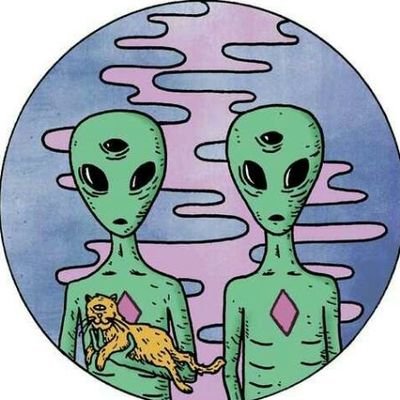 Profile Picture of  🌻Alva González 🌻 (@AlvaGonzalez13) on Twitter