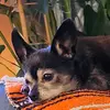 Profile Picture of Jessie Johnson (@jmk1987) on Tiktok