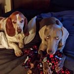 Profile Picture of Patrick James (@patrick.willoughby.146) on Instagram