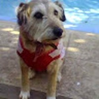 Profile Picture of Silvia Perez (@silvia-perez-216) on Quora