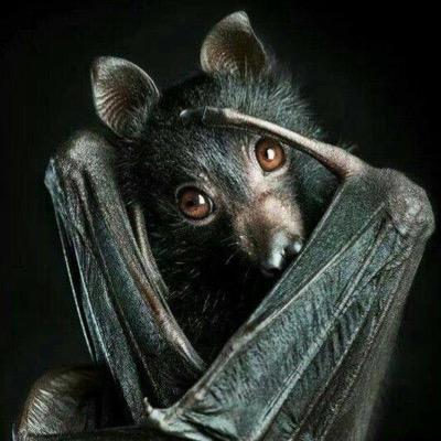 Profile Picture of Alexander Kemp (@alexanderkemp2) on Twitter