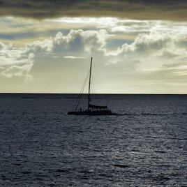 Profile Picture of Rose Clemente (@Roseclemente13) on Twitter