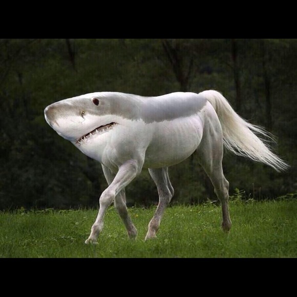 Profile Picture of Emmett Solien (@esolien) on Poshmark