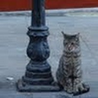 Profile Picture of Toni Soare (@toni-soare) on Quora