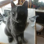 Profile Picture of Mitzi Hess (@mitzi.hess.1) on Facebook