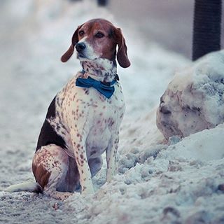 Profile Picture of Brook Michael (@brook.michael.5) on Facebook