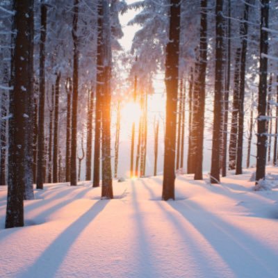 Profile Picture of Cameron Roche (@Roche4Cameron) on Twitter