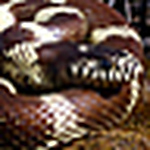 Profile Picture of John Stephenson (@GetulaHunter) on Flickr