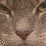 Profile Picture of flikkie (@flikkie82) on Instagram