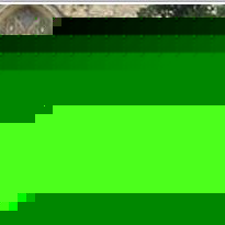 Profile Picture of Tianming Liu (@389576930) on Myspace