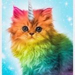 Katie Mallaby - Instagram Profile Picture of Katie Mallaby (@katiemallaby) on Instagram