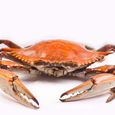 Profile Picture of Phillip Gonzalez (@gonzo_0znog) on Twitter