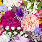 Profile Picture of Elmer Cotten Jr. (@Elmer-Cotten-Jr) on Facebook