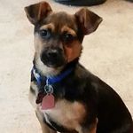 Profile Picture of Jonathan Swaney (@jswaney90) on Instagram