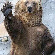 Profile Picture of Carol Fish (@@CarolFish1) on Twitter