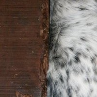 Profile Picture of Emilio Silva (@emilio-silva-1) on Quora