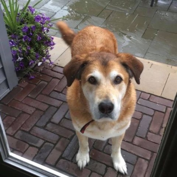 Profile Picture of Robin Adamchik (@robinadamchik) on Poshmark