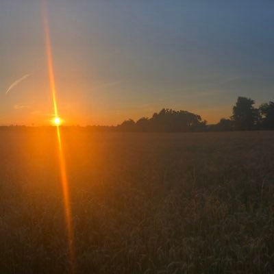 Profile Picture of Eric Palmquist (@epalm87) on Twitter