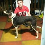 Profile Picture of Shannon Enright (@shannon_boy_) on Instagram