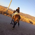 Profile Picture of Lucero Jiménez (@jimeez_l) on Instagram