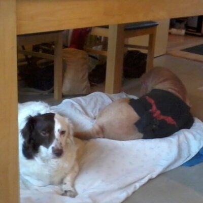 Profile Picture of Dave Sunter (@davesun1) on Twitter