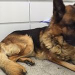 Profile Picture of Matthewtickle (@matthewtickle8) on Instagram