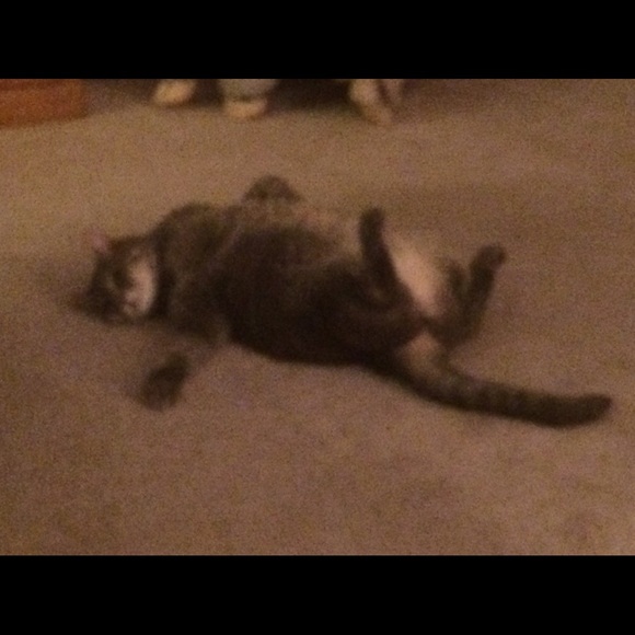 Profile Picture of Jill Tedder (@jillm81) on Poshmark