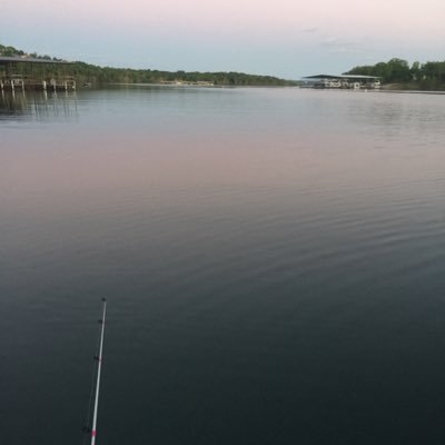 Jessica Ledwon - Twitter Profile Picture of Jessica Ledwon (@jessica_ledwon) on Twitter