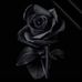 Profile Picture of Abhay Misra (@Abhay-Misra) on Facebook