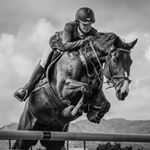 Profile Picture of Alexa Murray (@_alexa_equestrian_) on Instagram