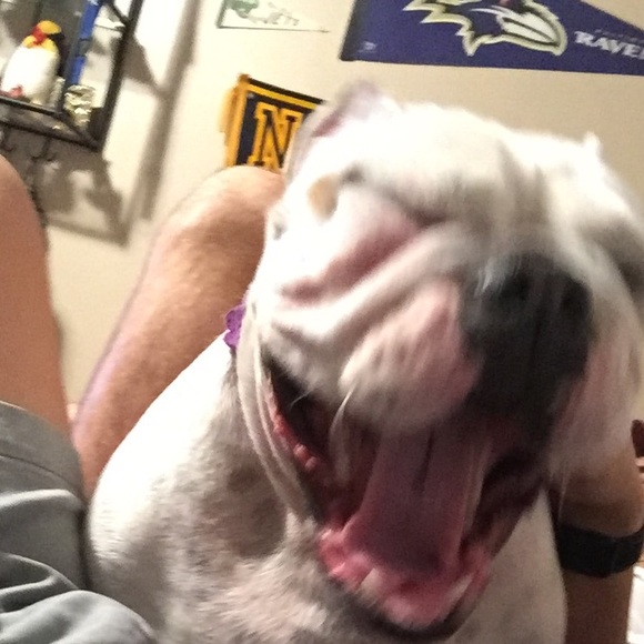 Reese Moore - Poshmark Profile Picture of Reese Moore (@foggo) on Poshmark