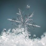 Profile Picture of Beth Riser (@bronze_snow) on Instagram