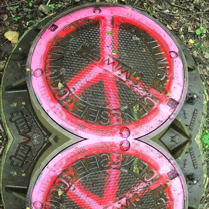 Profile Picture of Brian 🦋 (@grtfulkind) on Tiktok