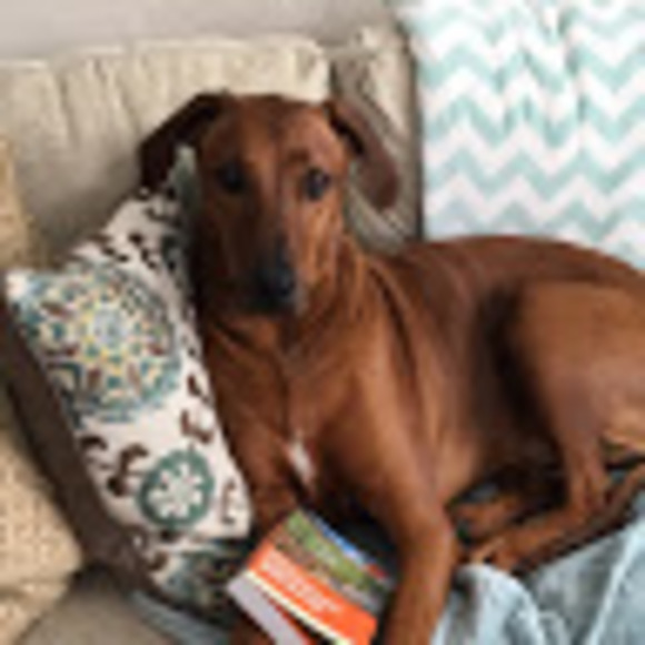 Profile Picture of Alicia Mckenrick (@aliciamckenrick) on Poshmark