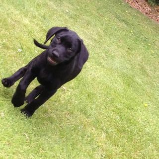 Profile Picture of Gary Glancy (@gary.glancy.5) on Facebook