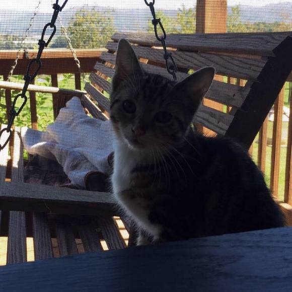 Max Mason - Poshmark Profile Picture of Max Mason (@maxamusmason) on Poshmark